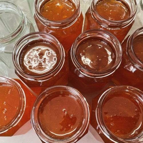 FD5EF0E2-2CF1-41B2-A92E-A48C59FE8A59